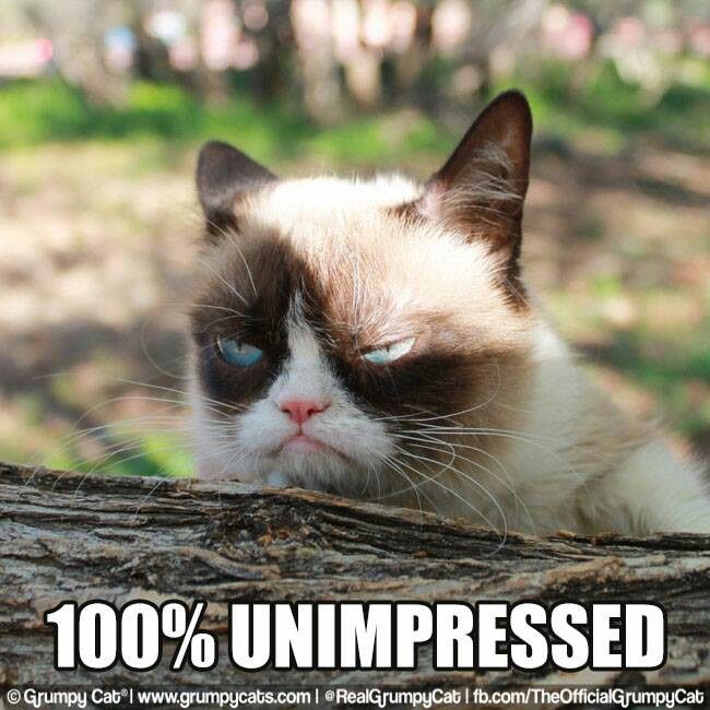 987779a3fd4474241bd482158acc3cb9--grumpy-cat-meme-grumpy-kitty
