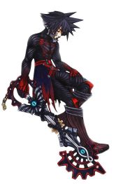 1b9b9f58978a0e60304990102b982720--vanitas-kingdom-hearts-births.jpg
